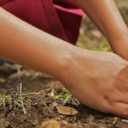 Les bienfaits du jardinage