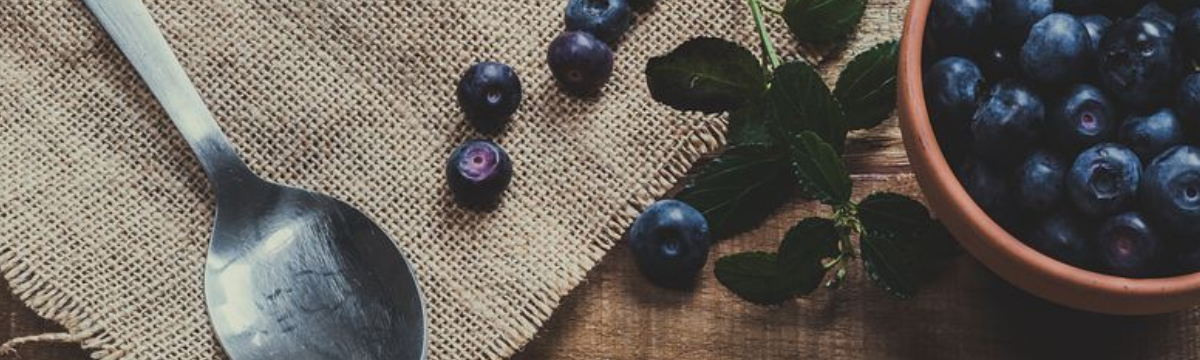 La myrtille : un fruit bénéfique pour la santé