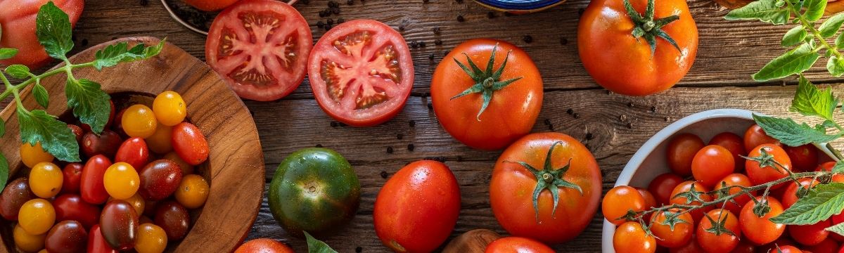 Les bienfaits des tomates pour la santé